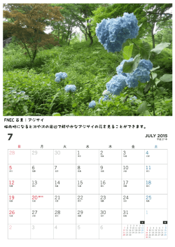 FNEC 百景：アジサイ 梅雨時になると池や沢の周辺で鮮やかなアジサイ