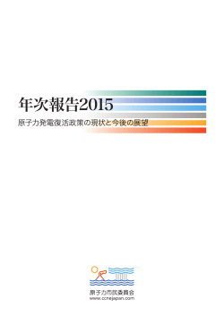 年次報告2015 -原子力発電復活政策の現状と今後
