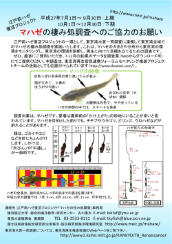 江戸前ハゼ復活プロジェクト - 国土技術政策総合研究所 横須賀庁舎