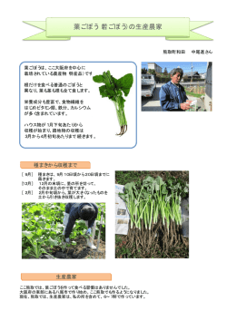 葉ごぼう（若ごぼう）の生産農家