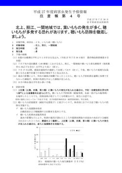 北上、胆江、一関地域では、葉いもちの発生が多く、穂 いもちが多発する