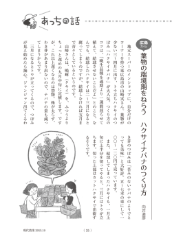 葉 物 の 端 境 期 を ね ら う ハ ク サ イ ナ バ ナ の つ く り 方