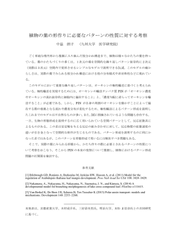 植物の葉の形作りに必要なパターンの性質に対する考察