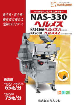 NAS-330 カタログ