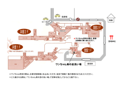 ワンちゃん用の足洗い場