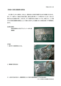 HP_別紙4 脱気（脱酸素）処理法