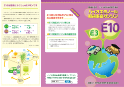 E10リーフレット - 環境省委託 バイオ燃料利用体制確立促進事業