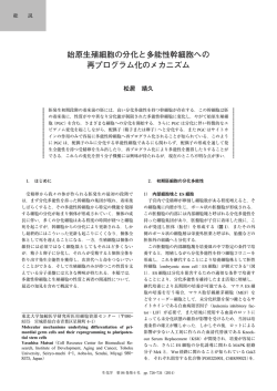 始原生殖細胞の分化と多能性幹細胞への 再プログラム化のメカニズム