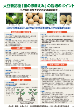 「里のほほえみ」の栽培のポイント - 公益社団法人 栃木県米麦改良協会