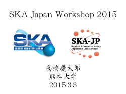 slide - Japan SKA Consortium