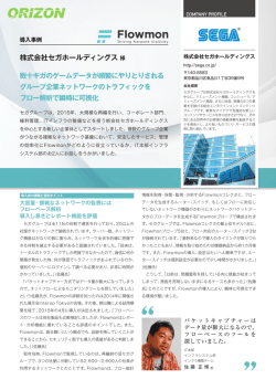 株式会社セガホールディングス 様