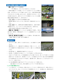 野辺山の資料（Pdf）