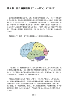 第4章 脳と神経細胞（ニューロン）について
