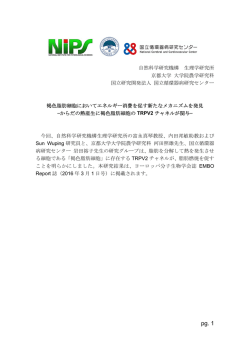 からだの熱産生に褐色脂肪細胞のTRPV2チャネルが関与
