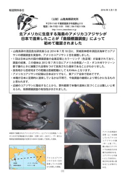 プレスリリース - 山階鳥類研究所