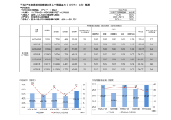 評価概要 [PDFファイル／158KB]