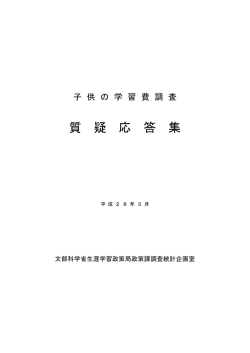 質疑応答集 （PDF:195KB）