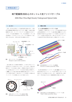 全文（PDF 907KB）
