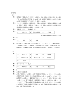 解答PDFダウンロード