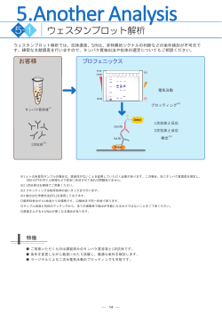 5.Another Analysis