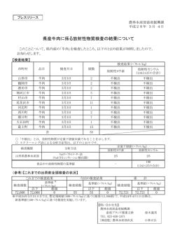 プレスリリース資料 (PDF documentファイル サイズ： 174Kb)
