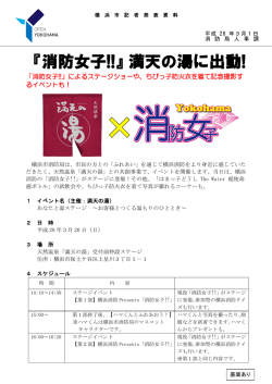 資料発表資料（PDF形式 612KB）