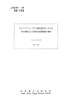 JAERI-M-89-156:1.54MB