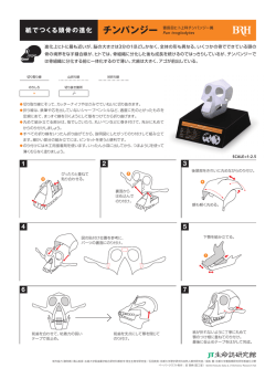 紙でつくる頭骨の進化