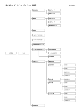 株式会社エーピーアイ コーポレーション 組織図