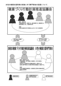 女性の健康支援事業の実施に伴う専門部会の設置について