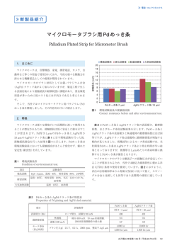 全文（PDF 439KB）