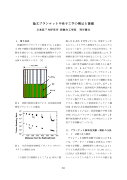 ブランケット中性子工学の現状と課題