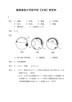 解答PDFダウンロード