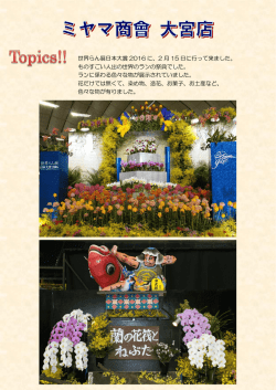 世界らん展日本大賞 2016 に、2 月 15 日に行って来ました。 ものすごい