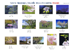 H27写真審査結果