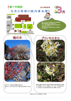 詳細はこちら - 複十字病院