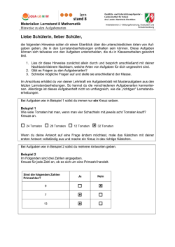 Handout f&uuml;r Sch&uuml;lerinnen und Sch&uuml;ler