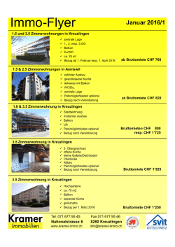 Immo-Flyer