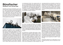 B&uuml;nzfischer - Kantonsschule Wohlen
