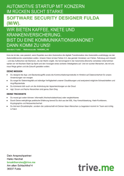 software security designer in fulda