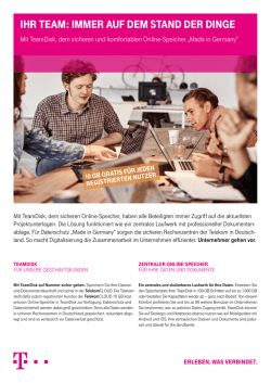 Infoflyer TeamDisk pdf, 811 KB
