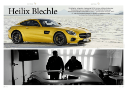 downloaden - Salzgitter Automotive Engeneering GmbH & CO. KG