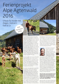 Ferienprojekt Alpe Agtenwald 2016