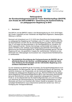zum Ansatz des BAFzA/BMFSFJ - Bundesarbeitsgemeinschaft der