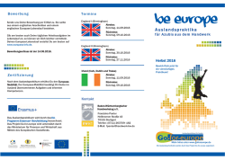 Informationsflyer Auslandspraktika