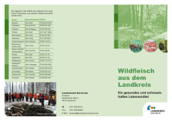 Infoflyer - Landkreis Karlsruhe