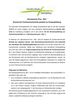 Informationsblatt Berufsschule Plus - BS+