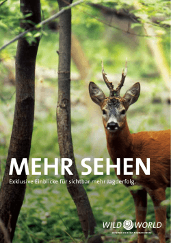"Sichtbares Wild, kostbares Wild" (pdf 0.3 MB)