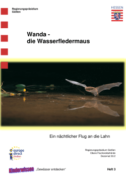 Wanda, die Wasserfledermaus