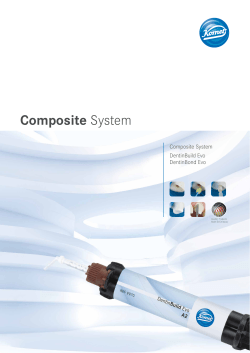 Composite System